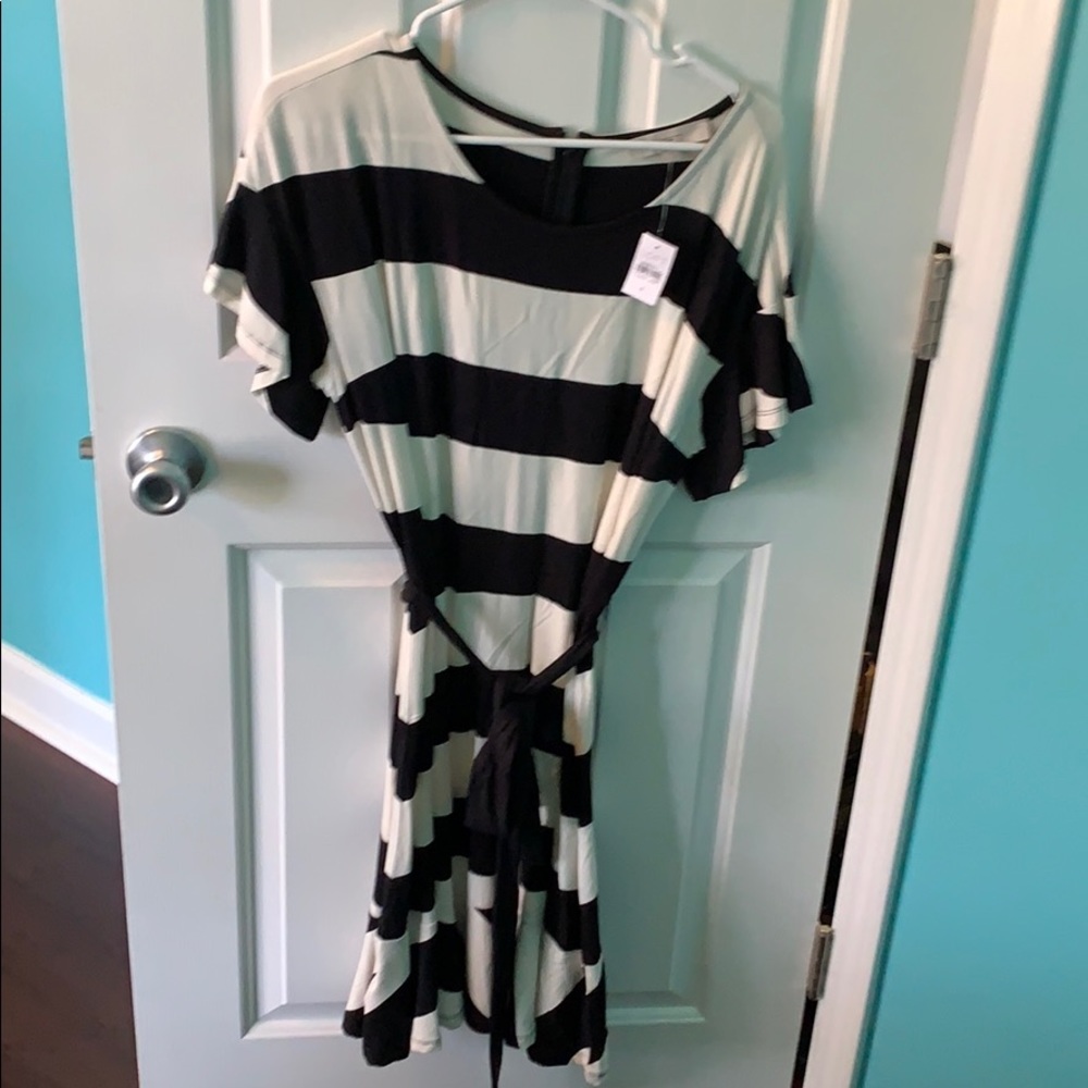Ann Taylor Loft Dress